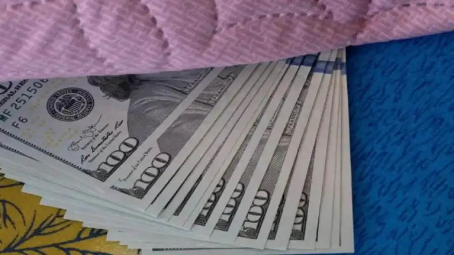 Cotización del Dólar Blue