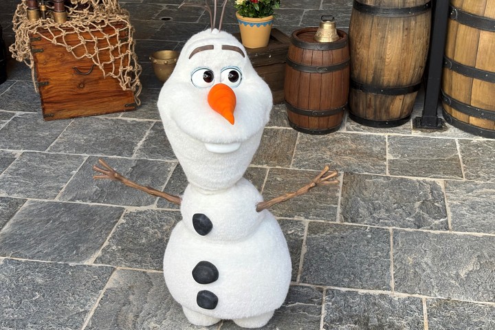 Olaf en el reino de Arendelle