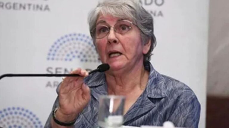 Marta Maffei critica la organización de la audiencia pública sobre glaciares