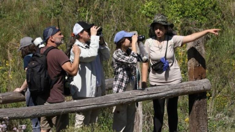 ¡Inscripciones Abiertas para la Escuela Argentina de Naturalistas 2026!