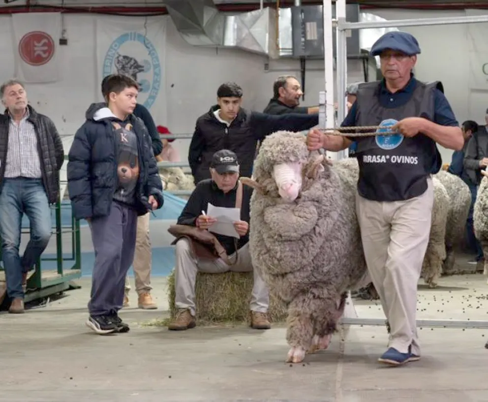 Hembra FLORADORA X859