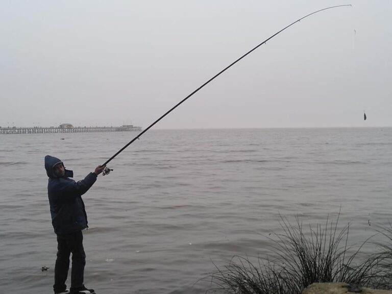 Tragedia en Quilmes: Padre e hijo de 11 años sufren un fatal accidente de pesca.