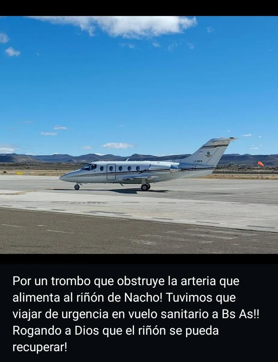 Niño sobreviviente accidente vial