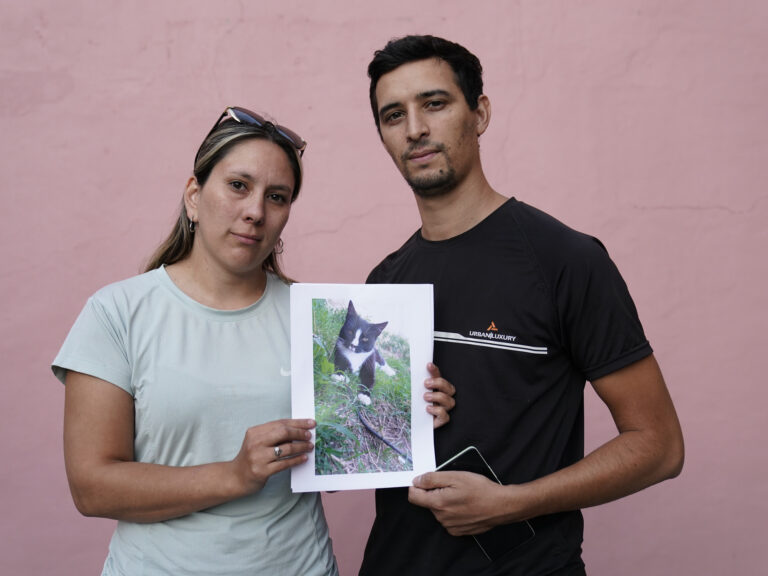 Ágata, la gatita desaparecida tras la histórica inundación en Bahía Blanca: ‘Es mi hija’