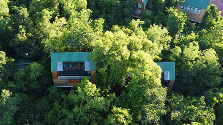Descubre el hotel boutique que te permite dormir entre las copas de los árboles