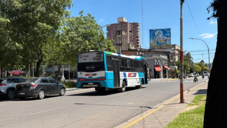 Crisis del Transporte: Gobierno Culpa a ERSA por Suspensión del Servicio Nocturno