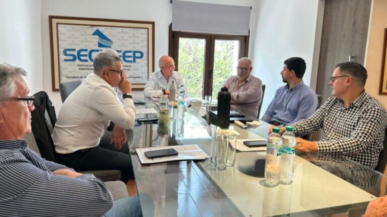 Chaco, Corrientes y Formosa solicitan prórroga del subsidio eléctrico hasta marzo