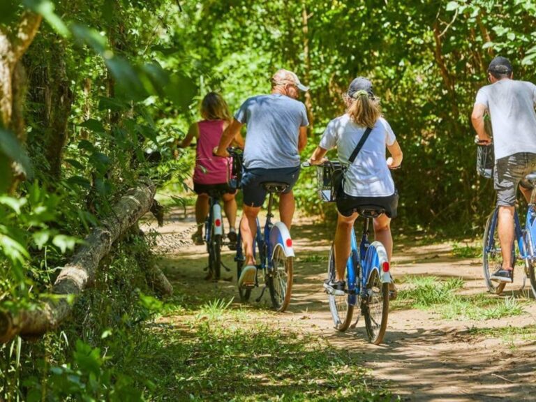 Descubre la Reserva Natural a 50 km de Buenos Aires: ¡Carpinchos Gratis!