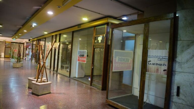Vacantes en Galerías del Centro: Un 15,11% de Locales Sin Ocupación