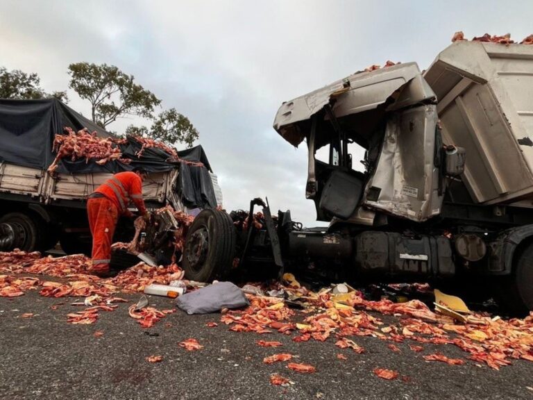 Chofer fallece tras quedar atrapado en su camión destrozado