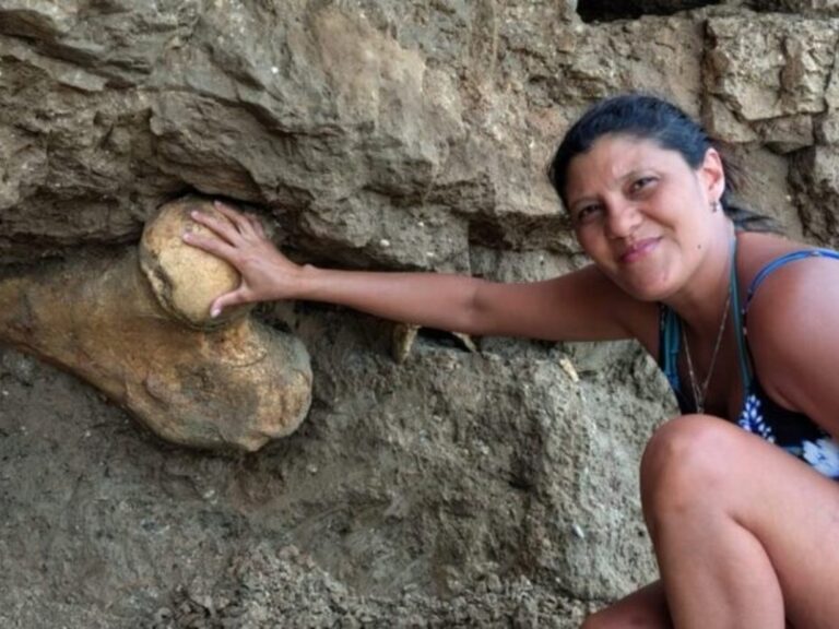 Turistas hallan restos de un gigante prehistórico en la playa