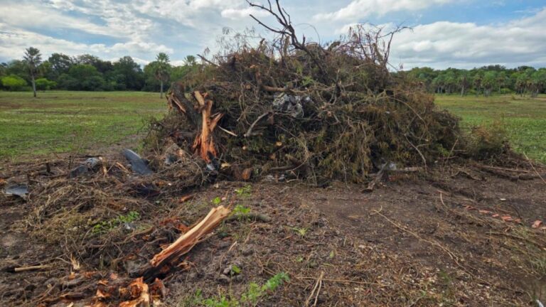 Conflicto en el Parque Caraguatá: Ambientalistas alertan sobre daños, Municipio rechaza acusaciones