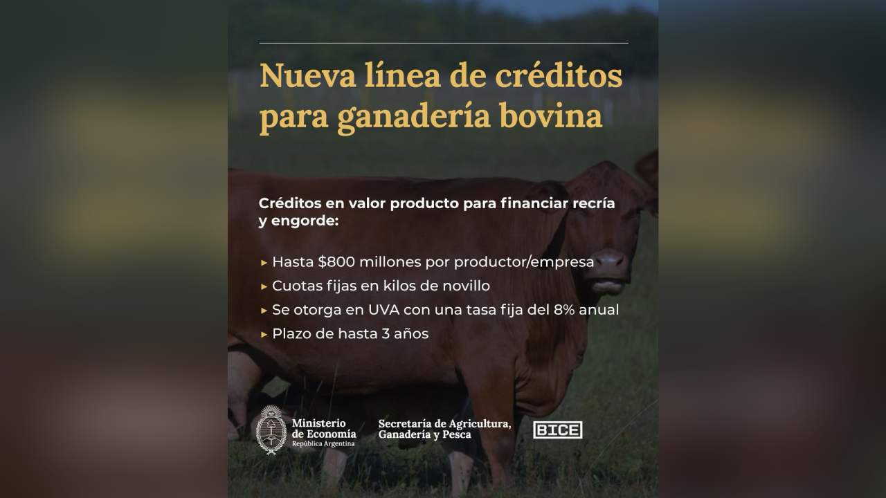 Financiamiento del Gobierno para la producción ganadera