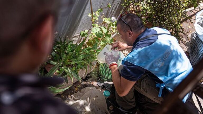 Córdoba reporta tres nuevos casos de chikungunya en el interior de la provincia