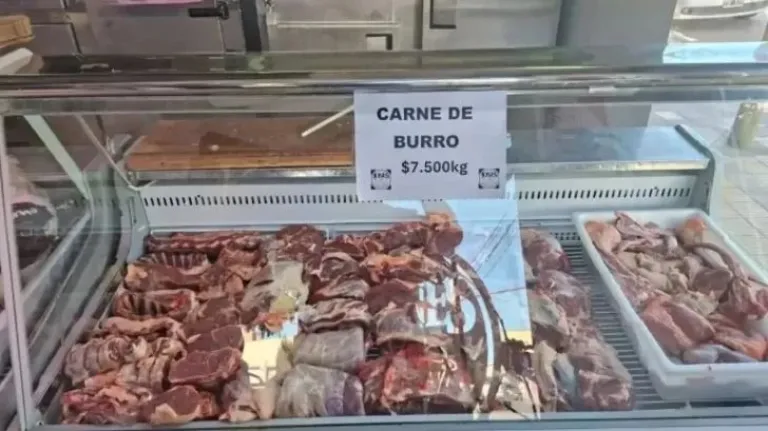 Degustación de Carne