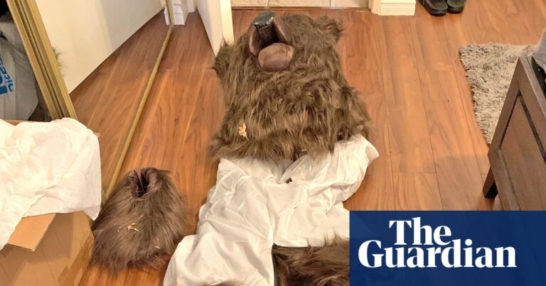 Tres personas condenadas por estafa de seguros con disfraz de oso en California