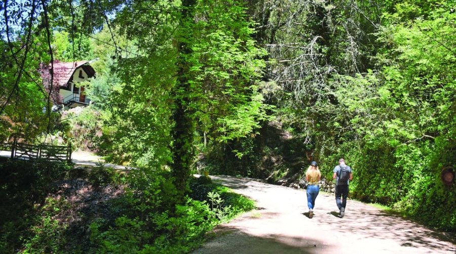 Naturaleza en Cumbrecita
