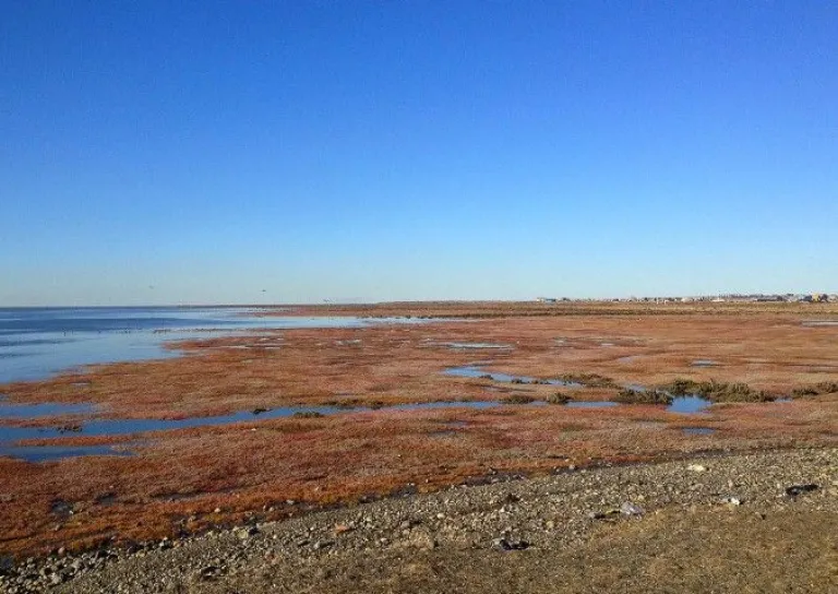 Estuario de Río Gallegos