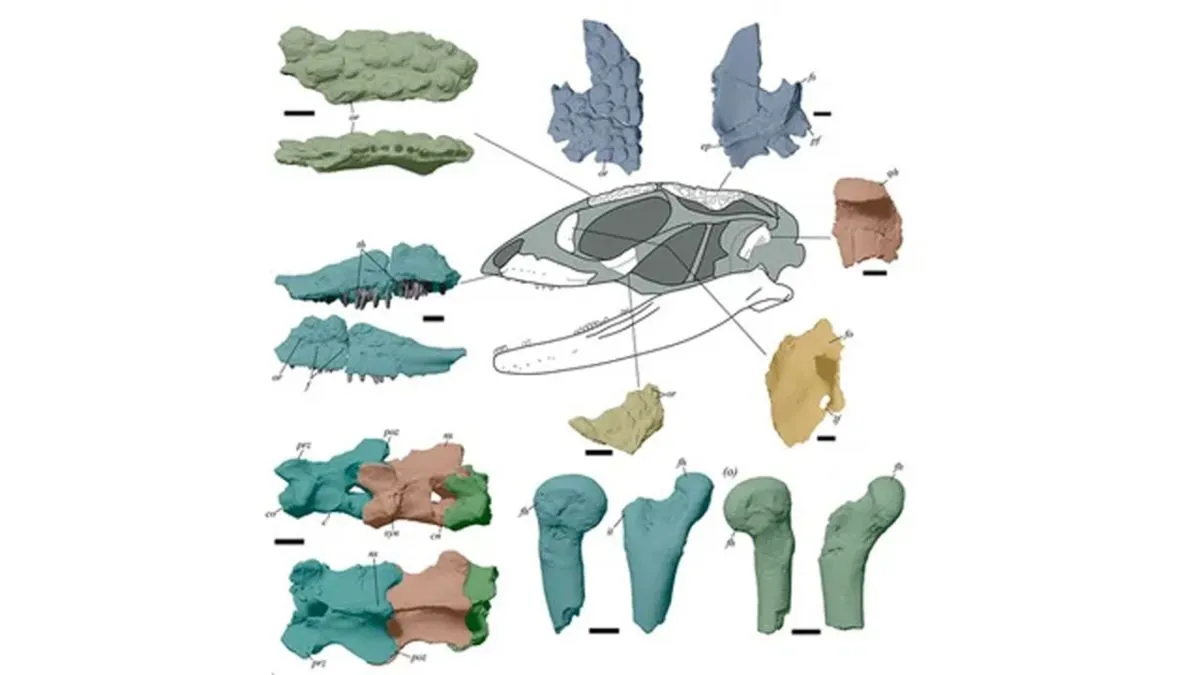 Reconstrucción del Paleoteius lakui