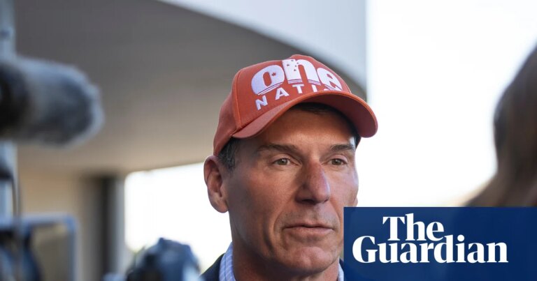Cory Bernardi Restituye Más de $40,000 por Vuelo en el Avión de Gina Rinehart Durante la Campaña Electoral de SA