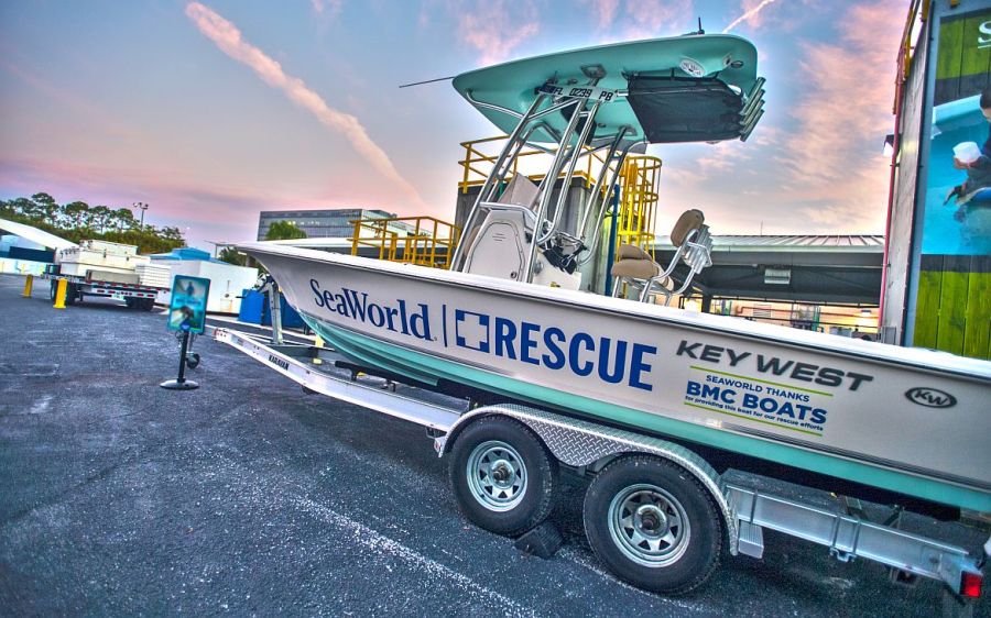 Compromiso con el bienestar animal