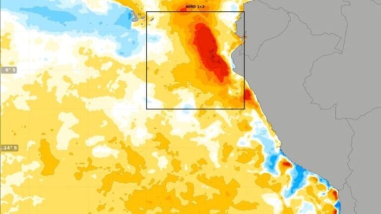 Impacto del fenómeno ‘El Niño’ en el clima de Misiones: Preocupaciones y pronósticos