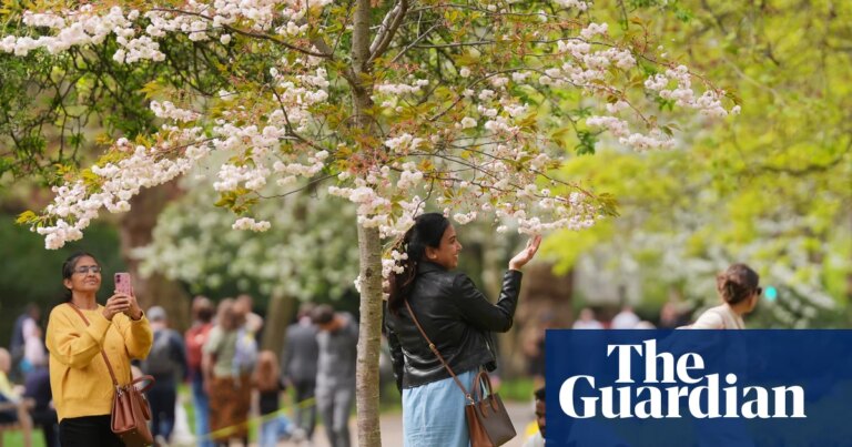 Las flores de primavera florecen en Inglaterra tras el calor y el frío: condiciones perfectas para los jardines