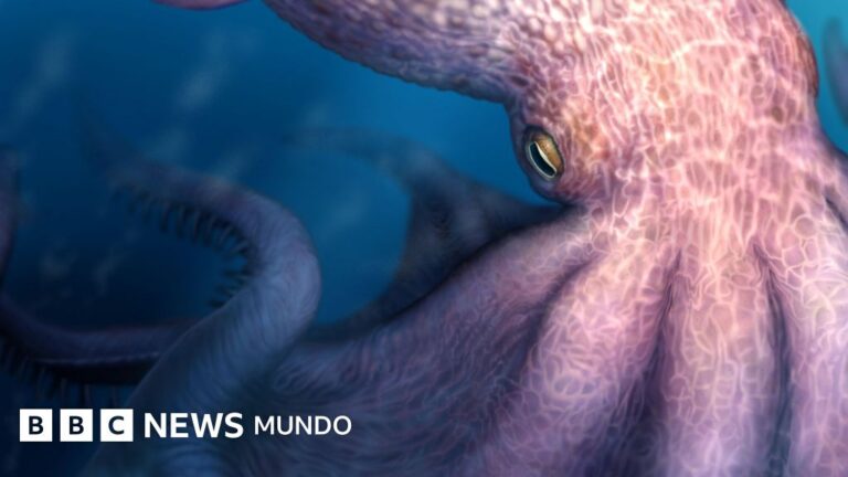 El temible pulpo carnívoro de 19 metros que habitó los océanos primitivos