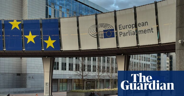 Tech Giants Criticize EU for Lapse in Child Safety Law