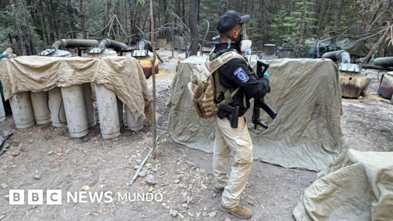 EE.UU. en la Lucha Antinarcóticos en México: Las Interrogantes Tras la Muerte de Dos Agentes de la CIA