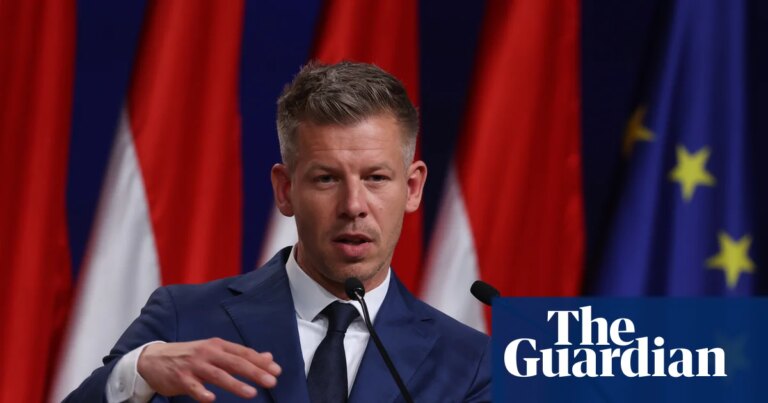 Hungría: Nuevo Primer Ministro pide apoyo de Polonia para revitalizar relaciones con la UE