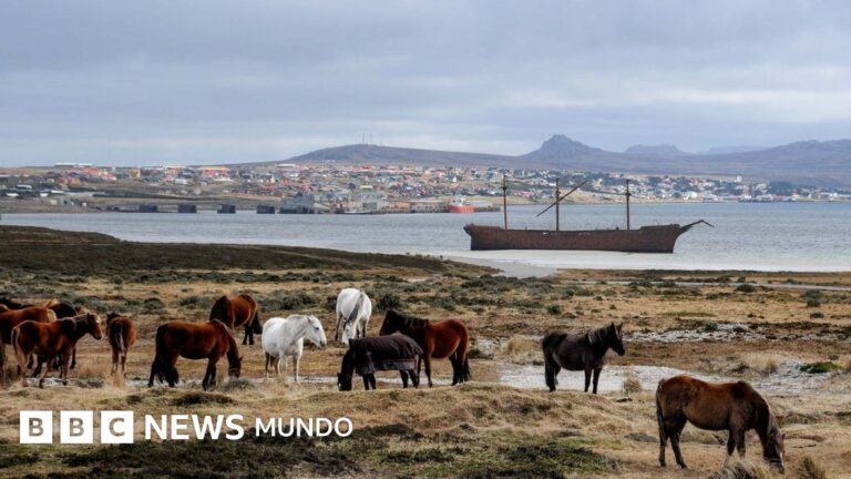 “Malvinas: un desafío para Reino Unido que EE.UU. no ignora”