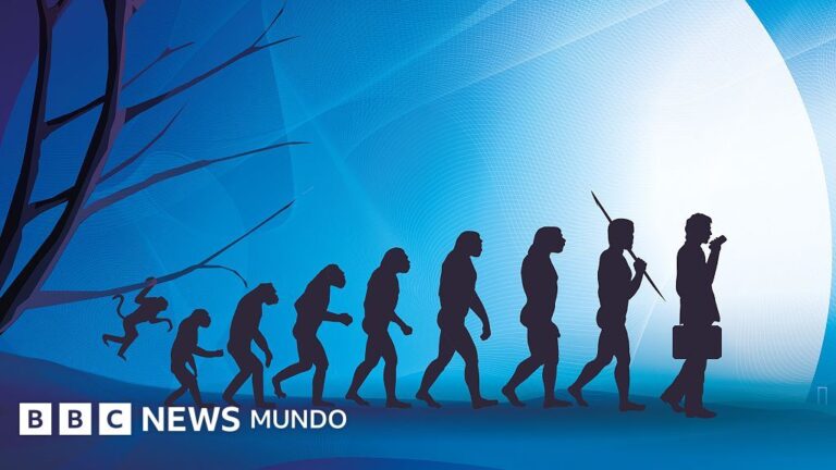 El cuerpo humano: un mosaico de evolución, no una obra maestra