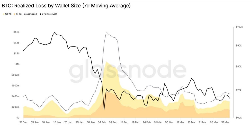 Pérdidas de ballenas y tiburones en Bitcoin