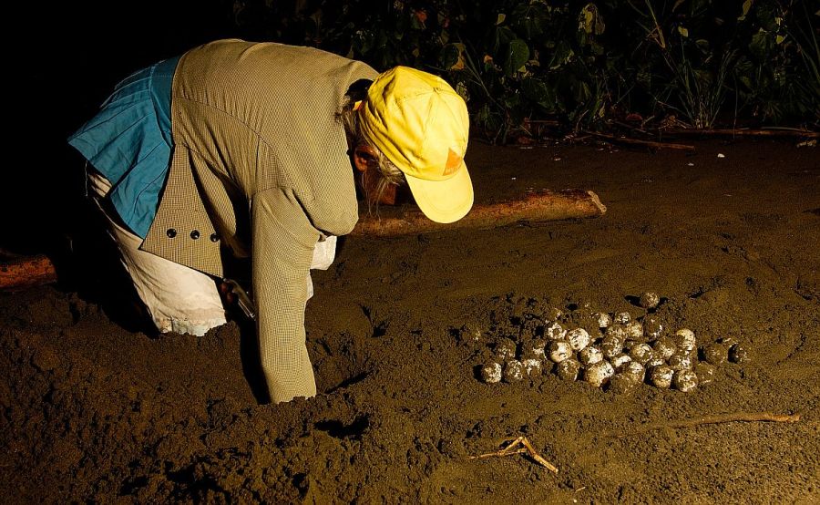 Experiencias nocturnas en Panamá