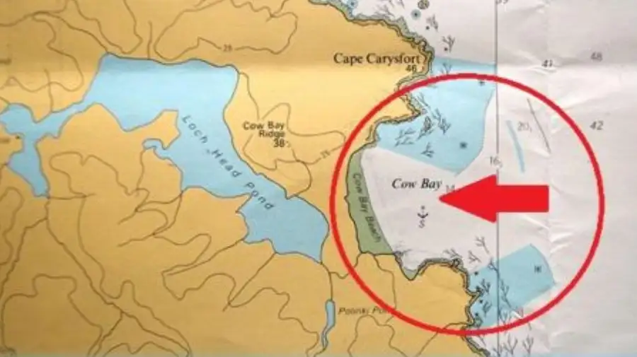 Operación Playa Vaca