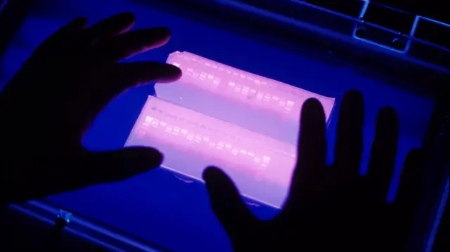 Laboratorio de genética