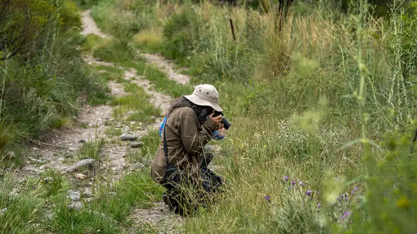 Proyecto FiguraFondo