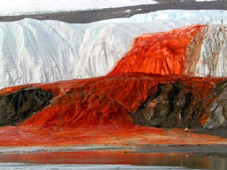 Explorando las Cataratas de Sangre: Ubicación y Orígenes de este Fascinante Fenómeno