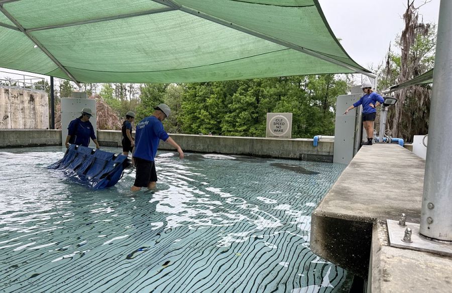Gisele Montaño en SeaWorld