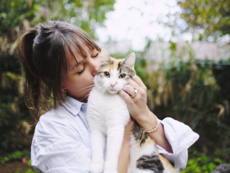 Robo de un Gato: La Soledad de Sara y su Peculiar Encuentro