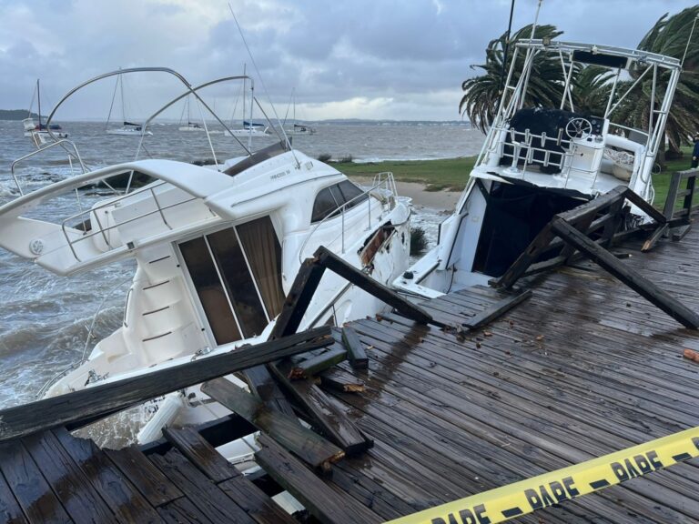 Furioso temporal en Punta del Este: dos yates encallan y una cría de orca es sacrificada