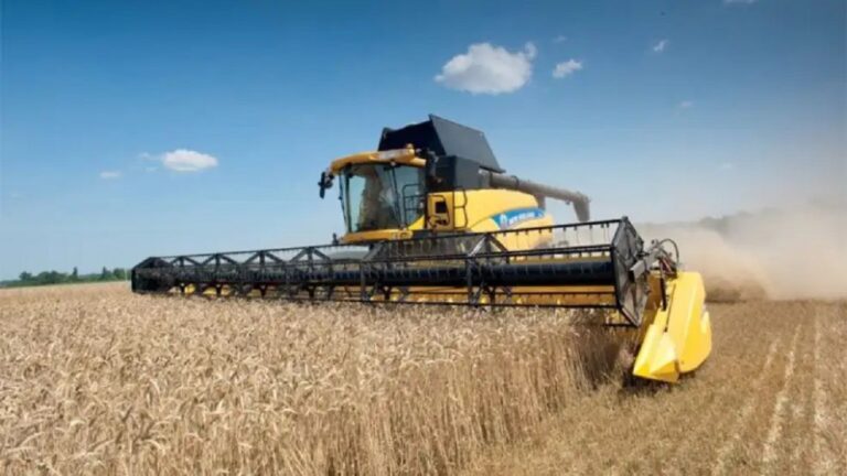 Crisis en el agro: «Precios de granos estancados, no reflejan aumento de costos»