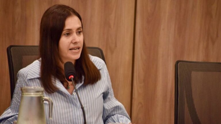Basualdo asume en Diputados y propone llevar la comisión al interior del país