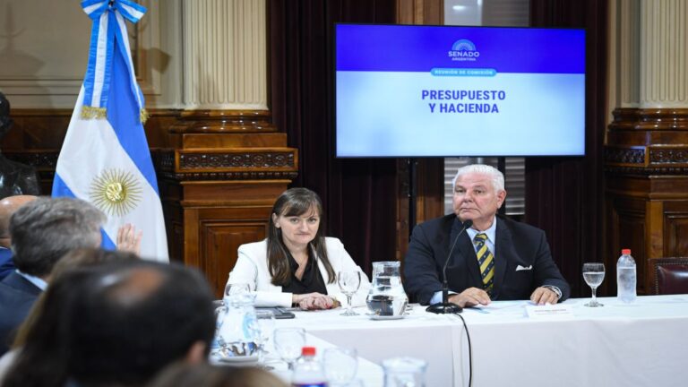 Acuerdo por USD 171 millones: el Senado respalda y el Gobierno asegura tiempo hasta mayo