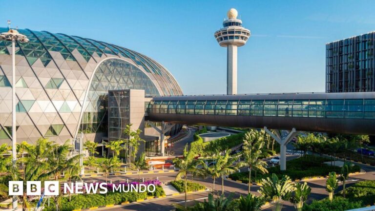 Descubre el Mejor Aeropuerto del Mundo: Su Secreto para Ser un Paraíso para Viajeros