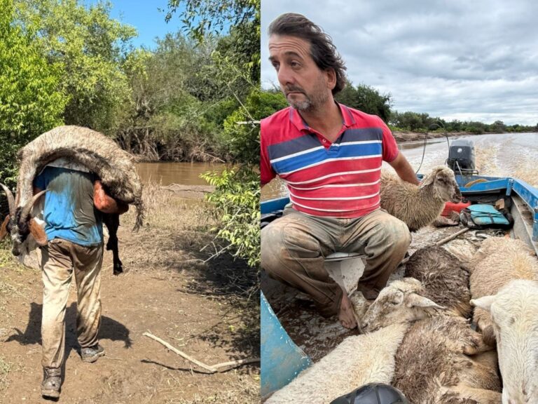 Apicultor y su hijo rescatan 300 animales junto a una ONG