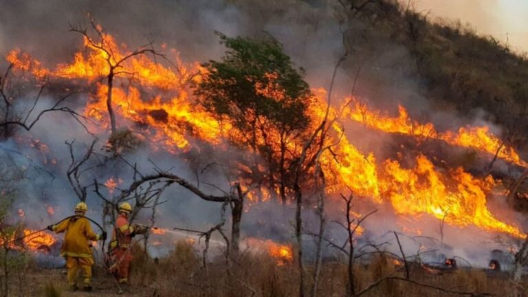 Córdoba: 73 incendios devoran más de 1.100 hectáreas en 2026