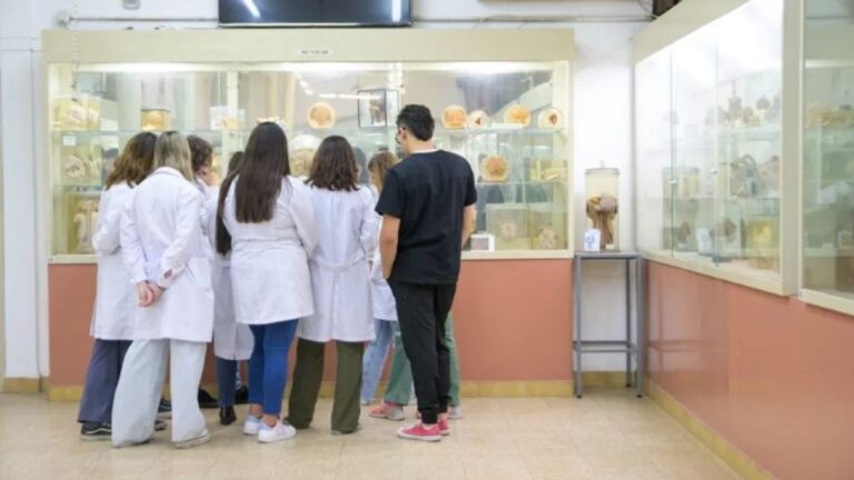 Universidad Nacional de Córdoba Lanza Campaña para Donar a la Formación Médica