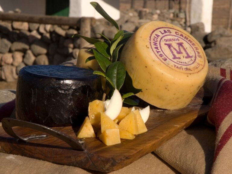 Queso Tucumano: 300 Años de Tradición y el Primer Lácteo Argentino con Indicación Geográfica